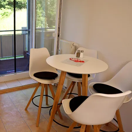 Mosennest Apartment Chemnitz