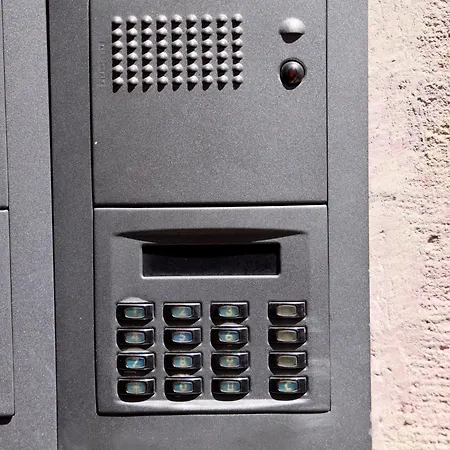 Mosennest * Chemnitz