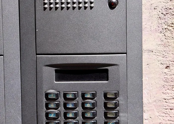 Mosennest * Chemnitz